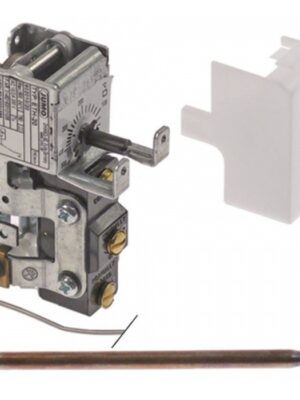 Termostat reglabil 20-500°C JUMO ETH-20  390912